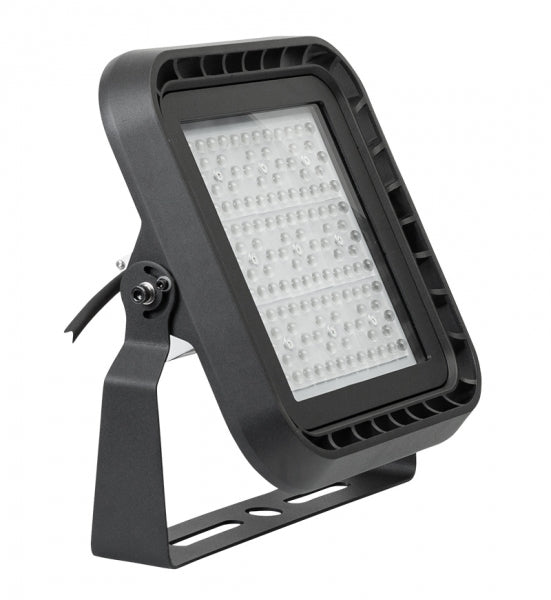 Proiector Profesional 100w Cu Difuzor 60, Dimabil 1-10v Dc, 5000? ,220v-240v Ac, Ip66