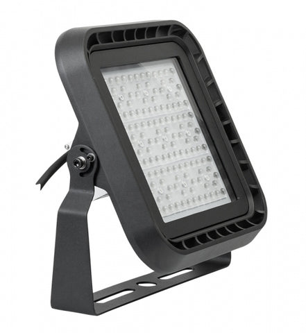Proiector Profesional 100w Cu Difuzor 85*150, Dimabil 1-10v Dc, 5000? ,220v-240v Ac, Ip66