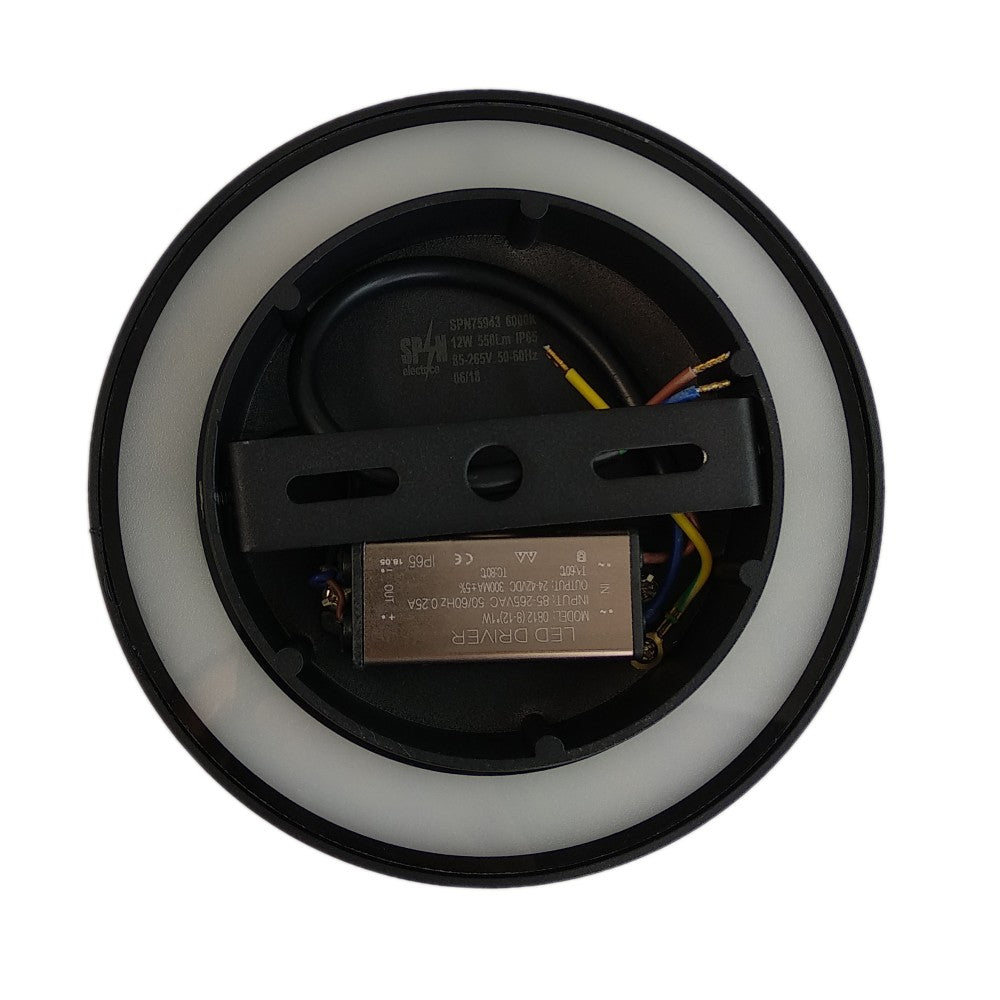 Aplica LED Perete Biscuit fi150, 12W, 6000K, lumina rece, cu protectie IP65 SPN75943